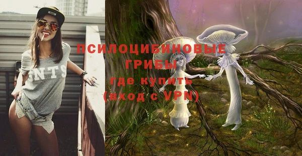 Альфа ПВП Волоколамск